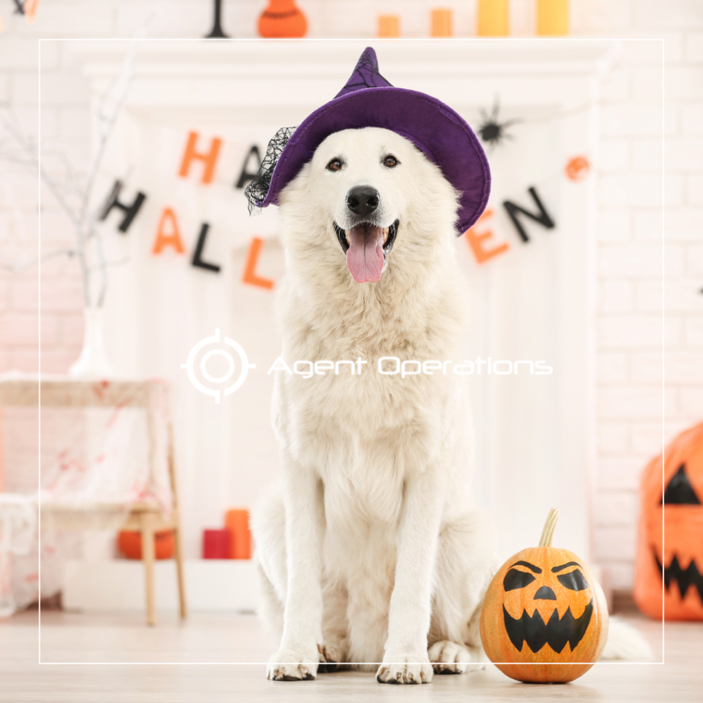 Embrace Spooky Season With These Spooktacular Halloween-Themed Real Estate Marketing Ideas - Agent Operations - AO Marketing - Agent Operations Marketing - Real Estate Marketing - Realtor Marketing - Agent Operations Real Estate Marketing