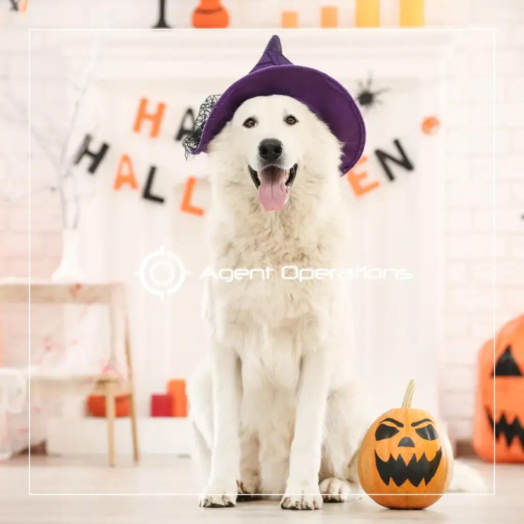 Embrace Spooky Season With These Spooktacular Halloween-Themed Real Estate Marketing Ideas - Agent Operations - AO Marketing - Agent Operations Marketing - Real Estate Marketing - Realtor Marketing - Agent Operations Real Estate Marketing