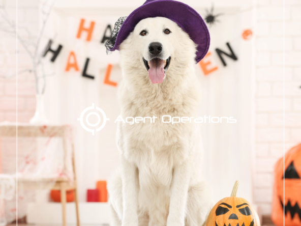 Embrace Spooky Season With These Spooktacular Halloween-Themed Real Estate Marketing Ideas - Agent Operations - AO Marketing - Agent Operations Marketing - Real Estate Marketing - Realtor Marketing - Agent Operations Real Estate Marketing